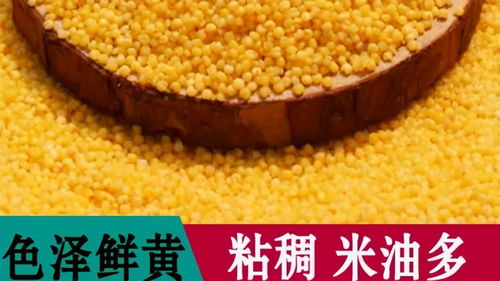 方山縣積翠鄉(xiāng) 消費(fèi)扶貧月綠色農(nóng)產(chǎn)品展銷與網(wǎng)絡(luò)認(rèn)購活動(dòng)助力農(nóng)產(chǎn)品初加工升級(jí)