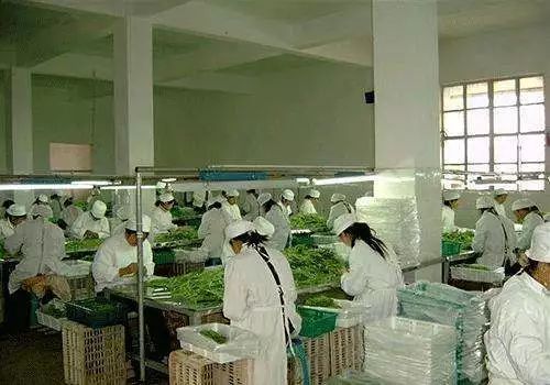 一圖解讀 七臺(tái)河市政府五大振興工程之食用農(nóng)產(chǎn)品初加工賦能行動(dòng)